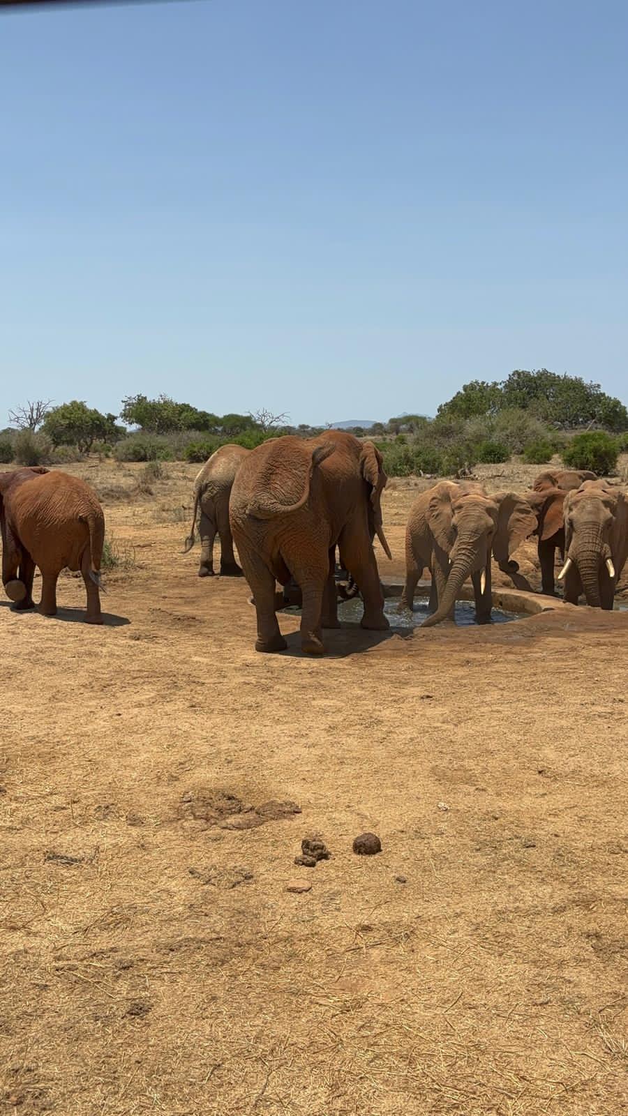 Tsavo East National Park